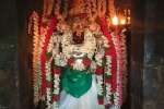 விளமல் பதஞ்சலி மனோகரர் கோயிலில் சிறப்பு வழிபாடு