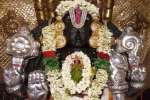 வரதராஜ பெருமாள் கோவிலில் பக்தர்கள் இல்லாமல் வசந்த உற்சவம்