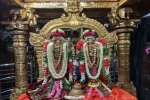 ஸ்ரீவில்லிபுத்தூர் ஆண்டாள் கோடை வசந்த உற்சவம்: 7 ம்நாள்