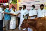 ஸ்ரீரங்கம் கோசாலை உபரி காணிக்கை கால்நடை: பயணாளிகளுக்கு வழங்கப்பட்டது