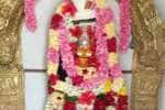 தங்க கவசத்தில் அருள்பாலித்த வீரக்குமார் சுவாமி
