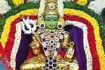 அங்காளபரமேஸ்வரி அம்மன் கோவிலில் ஊஞ்சல் உற்சவம்