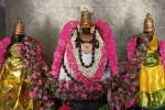 மூலநாத சுவாமி கோயிலில் ஆடி கார்த்திகை சிறப்பு வழிபாடு