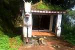 யானைகளால் சேதமடைந்த கோவில் சிலைகள்