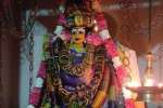 நாகலிங்கேஸ்வரர் சுவாமி கோவிலில் ஆடிப்பூர விழா