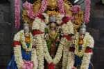 காரமடை அரங்கநாதர் கோவிலில் ஏகாதசி விழா