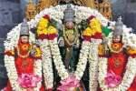 காரமடை அரங்கநாதர் கோவிலில் ஏகாதசி வழிபாடு