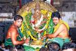திருச்செந்துார் ஆவணித்திருவிழா சுவாமி பச்சை சாத்தி உலா வந்தார்
