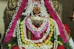 சங்கர லிங்கம் சுவாமி கோயிலில் சனி பிரதோஷ வழிபாடு