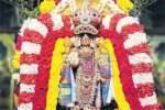 சரநாராயண பெருமாளுக்கு குருவாயூரப்பன் அலங்காரம்
