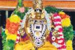 ஸ்ரீனிவாச பெருமாள் கோயிலில் புரட்டாசி உற்ஸவ விழா