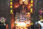 அவிநாசி லிங்கேஸ்வரர் கோவிலில் அன்னாபிஷேகம்