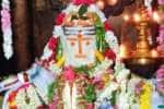 திருப்புத்துார் திருத்தளிநாதர் கோயிலில் அன்னாபிஷேகம்