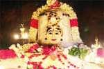 துாத்துக்குடி சிவன் கோயில்களில் அன்னாபிஷேக விழா கோலாகலம்