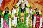 கதலி நரசிங்கப்பெருமாள் கோயிலில் சிறப்பு வழிபாடு