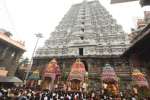 அருணாசலேஸ்வரர் கோவிலில் தீபதிருவிழா: பஞ்சமூர்த்திகள் தேரோட்டம்