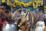 ரத்தின சபை: திருவலாங்காடு நடராஜ பெருமானுக்கு ஆருத்ரா மகா அபிஷேகம்