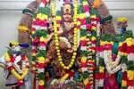 திருத்தளிநாதர் கோயில் ஆடல்வல்லான் சன்னதியில் ஆருத்ரா தரிசனம்