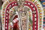 தஞ்சை பெரியகோவிலில் ஆருத்ரா தரிசனம்