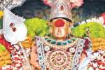பழநி முருகனை தரிசனம் செய்ய விடிய விடிய காத்திருக்கும் பக்தர்கள்