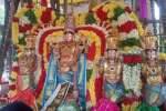 திருச்சேறை சாரநாதப் பெருமாள் கோவிலில் தைப்பூசத் தேரோட்டம்