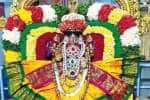 பண்ருட்டி வரதராஜ பெருமாள் கோவிலில் சிறப்பு அலங்காரம்