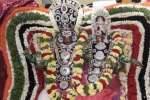 திருப்பட்டினம் ஜடாயுபுரீஸ்வரர் கோயிலில் தெப்போற்சவம்