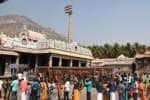 அருணாசலேஸ்வரர் கோவிலில் காத்திருந்து பக்தர்கள் தரிசனம்