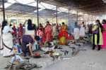 மண்டைக்காடு பகவதி அம்மன் கோயிலில் வரும் 27 ல் மாசிக்கொடை விழா துவக்கம்