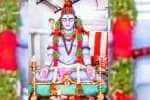 தஞ்சாக்கூரில் தவக்கோலத்தில் சிவன் சிலை பிரதிஷ்டை