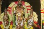ஆனந்த விமானத்தில் திருவல்லிகேணி பார்த்தசாரதி பெருமாள் சேவை