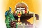 மயிலாப்பூர் கபாலீஸ்வரர் கோயிலில் மகா சிவராத்திரி விழா