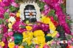 மகா சிவராத்திரி: குலதெய்வ கோவில்களில் குவிந்த பக்தர்கள்
