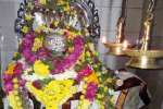 மாசி மகா சிவராத்திரி விழா : சிவன் கோயில்களில் கோலாகலம்
