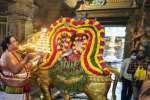 திருநள்ளாரில் தங்கரிஷப வாகனத்தில் தர்பாரண்யேஸ்வர் வீதியுலா