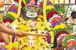 மகாசிவராத்திரி கொண்டாட்டங்கள் : விடிய விடிய நடந்த அபிஷேகம்