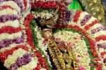திருவொற்றியூர் தியாகராஜசுவாமி கோயிலில் பிரதோஷ வழிபாடு: நேரலை