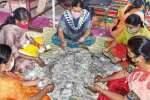 பழநியில் உண்டியல் காணிக்கை ரூ.2.8 கோடி