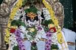 சிவாலயபுரத்தில் பிரதோஷ சிறப்பு பூஜை