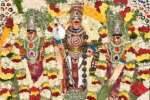 பழநி முருகன் கோயிலில் பங்குனி உத்திர தேரோட்டம் கோலாகலம்