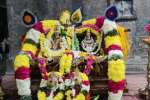திருசூலநாதர் கோயிலில் பங்குனி உத்திர திருக்கல்யாண உற்சவம்
