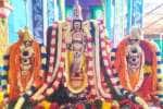 எமனேஸ்வரம் வரதராஜ பெருமாள் கோயிலில் திருக்கல்யாணம்
