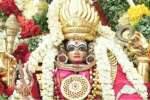 தாயமங்கலத்தில் பொங்கல் விழா இன்று கொடியேற்றத்துடன் துவக்கம்