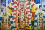 ஸ்ரீநிவாசப் பெருமாள் கோயிலில் திருக்கல்யாணம்