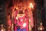 விளமல் பதஞ்சலி மனோகரர் கோயிலில் சிறப்பு பூஜை