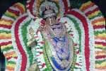அருணாசலேஸ்வரர் கோவிலில் நடராஜருக்கு சிறப்பு அபிஷேகம்