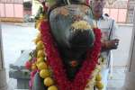 சோழீஸ்வரர் கோவிலில் பிரதோஷ விழா