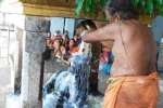 விளமல் பதஞ்சலி மனோகரர் கோயிலில் பிரதோஷ வழிபாடு