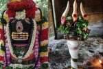 திருப்பரங்குன்றத்தில் அமாவாசை தீர்த்த உற்ஸவம்