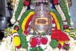 அமணீஸ்வரர் கோவிலில் மண்டல பூஜை நிறைவு